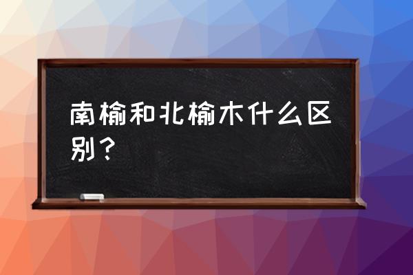 北榆木和南榆木怎么辨別 南榆和北榆木什么區別? 北榆木和南榆木怎么辨別 南榆和北榆木什么區別?