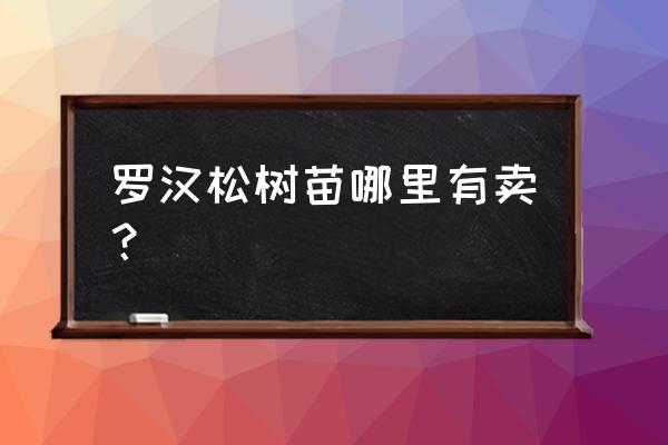杳找桂林哪里有羅漢松木出售 羅漢松樹苗哪里有賣？