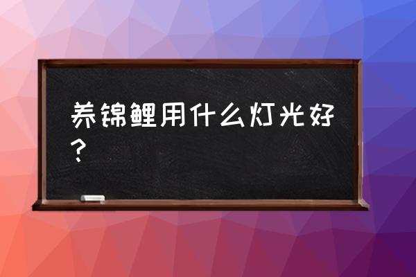 什么燈光對錦鯉有作用 養(yǎng)錦鯉用什么燈光好？
