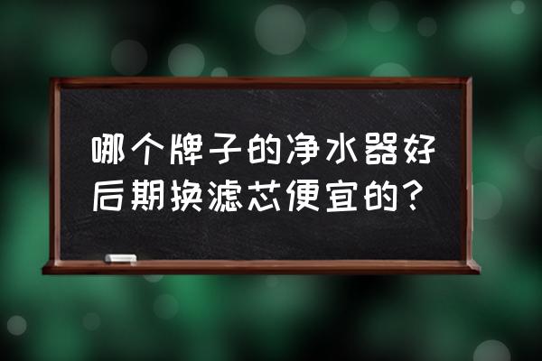 哪款純水機濾芯便宜 哪個牌子的凈水器好后期換濾芯便宜的？