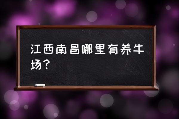 南昌活牛批發市場在哪 江西南昌哪里有養牛場？