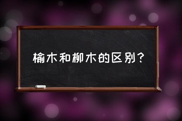 榆木密度多少 榆木和柳木的區別？