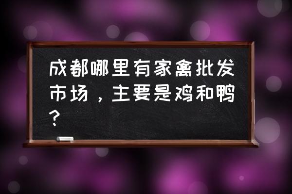 新開家禽批發市場在哪 成都哪里有家禽批發市場，主要是雞和鴨？