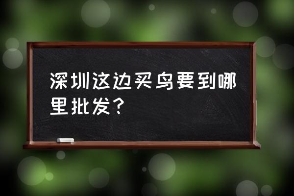 深圳龍崗三鳥批發市場在哪里 深圳這邊買鳥要到哪里批發？