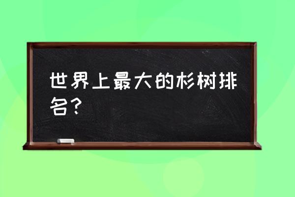南方有什么杉木長得最大 世界上最大的杉樹排名？