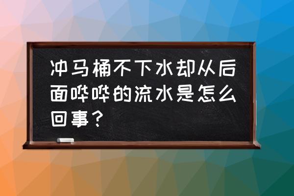 馬桶從后面出水怎么辦 沖馬桶不下水卻從后面嘩嘩的流水是怎么回事？