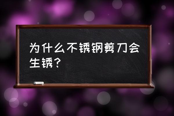 剪刀怎樣才能不銹 為什么不銹鋼剪刀會生銹？