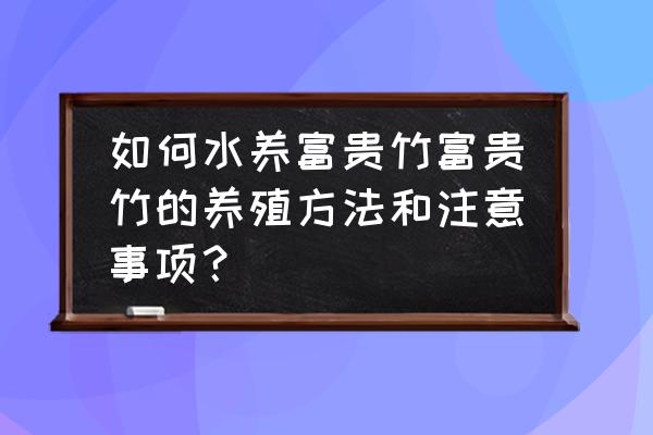 水培開運竹的養殖方法和注意事項 如何水養富貴竹富貴竹的養殖方法和注意事項？