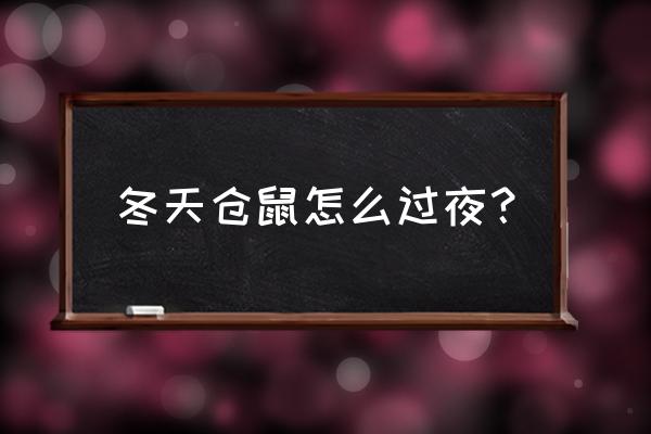 9個平方臥室怎么保暖 冬天倉鼠怎么過夜？