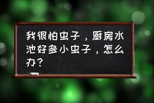 廚房水池邊上有蟲(chóng)子怎么解決 我很怕蟲(chóng)子，廚房水池好多小蟲(chóng)子，怎么辦？