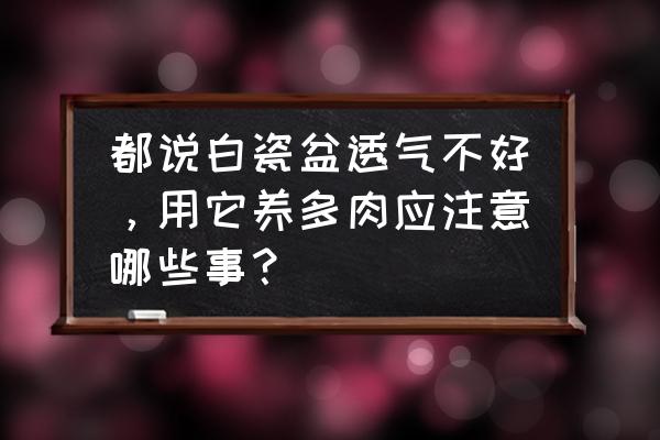 冬天打理多肉植物的小妙招 都說白瓷盆透氣不好，用它養多肉應注意哪些事？