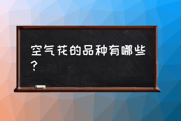 扶郎花適合種在土里還是種在水里 空氣花的品種有哪些? 扶郎花適合種在土里還是種在水里 空氣花的品種有哪些?