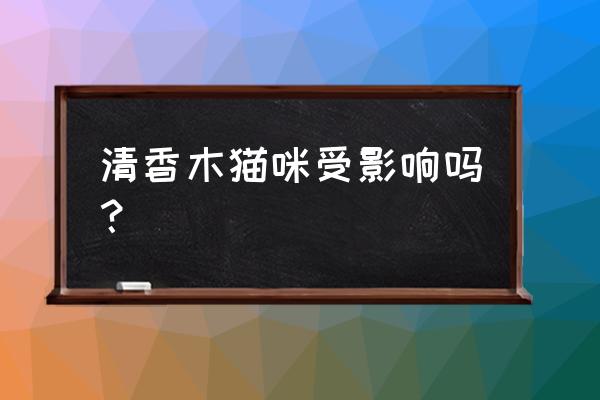 千葉吊蘭葉子脫落了怎么補救 清香木貓咪受影響嗎？