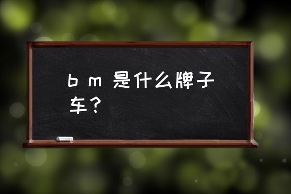 寶馬車標上的w是什么意思 b m 是什么牌子車？