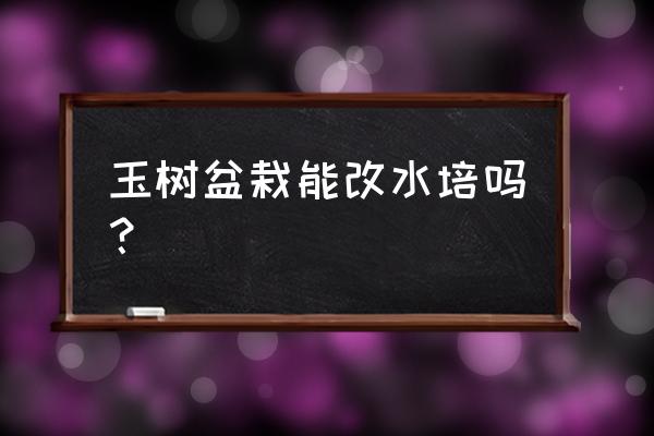 玻璃瓶子水培多肉 玉樹盆栽能改水培嗎？