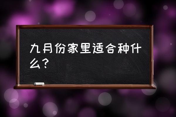 紫羅蘭能在家養嗎怎么養 九月份家里適合種什么? 紫羅蘭能在家養嗎怎么養 九月份家里適合種什么?