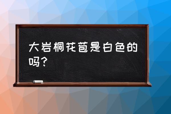 大巖桐花的扦插如何快速發芽 大巖桐花苞是白色的嗎？