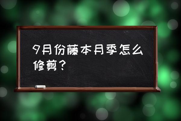 藤本月季底部枝條需要剪了嗎 9月份藤本月季怎么修剪？