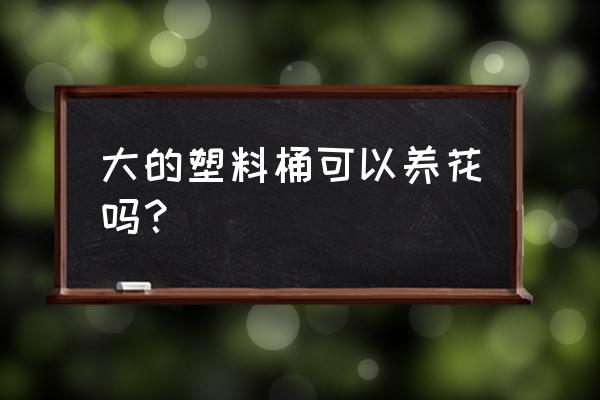 創(chuàng)意簡單塑料花盆制作 大的塑料桶可以養(yǎng)花嗎？