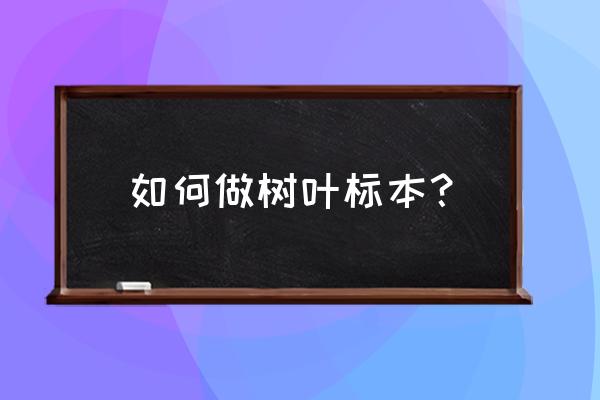 做樹葉標(biāo)本的方法 如何做樹葉標(biāo)本？