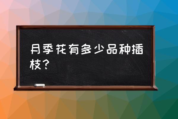 豐花月季種子怎么收集 月季花有多少品種插枝? 豐花月季種子怎么收集 月季花有多少品種插枝?