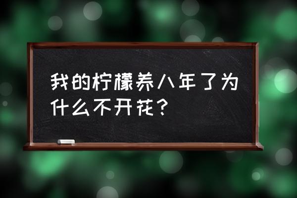 檸檬怎么養(yǎng)能長(zhǎng)得快一點(diǎn)啊 我的檸檬養(yǎng)八年了為什么不開花？