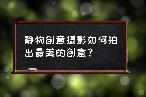 最簡單的散景拍攝方法 靜物創意攝影如何拍出最美的創意？