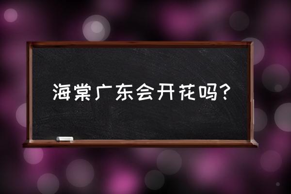 長壽樂海棠適合廣東種植嗎 海棠廣東會開花嗎？