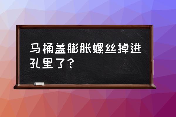 馬桶蓋下面螺絲掉了怎么修 馬桶蓋膨脹螺絲掉進孔里了？