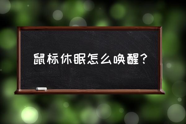 點擊睡眠后如何喚醒 鼠標休眠怎么喚醒？