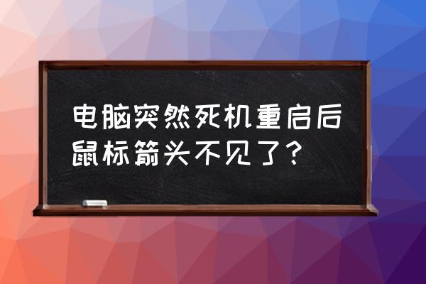 筆記本鼠標箭頭不見了怎么恢復 電腦突然死機重啟后鼠標箭頭不見了？