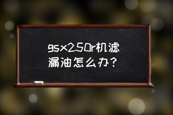 gsx250機(jī)濾和機(jī)油推薦 gsx250r機(jī)濾漏油怎么辦？