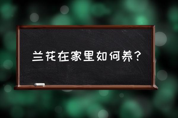 在家怎么把蘭花培養得更好 蘭花在家里如何養？