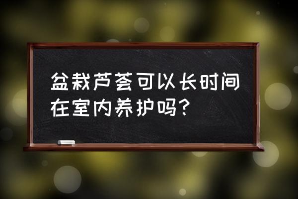 盆栽花怎么養能長久一點 盆栽蘆薈可以長時間在室內養護嗎？
