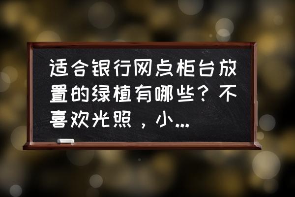 適合放到辦公室里的花 適合銀行網點柜臺放置的綠植有哪些？不喜歡光照，小型綠植最好？