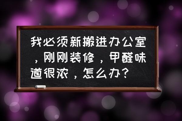 辦公室除甲醛怎樣才能快速消除 我必須新搬進辦公室，剛剛裝修，甲醛味道很濃，怎么辦？