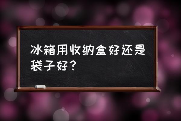 冰箱備用食物 冰箱用收納盒好還是袋子好？