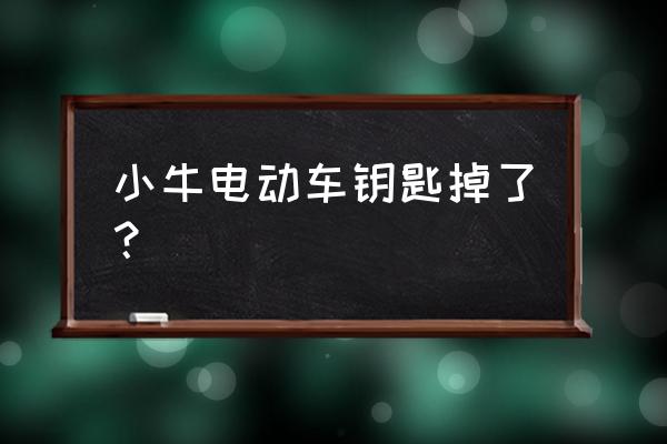 小牛電動車鑰匙丟了怎么補救 小牛電動車鑰匙掉了？