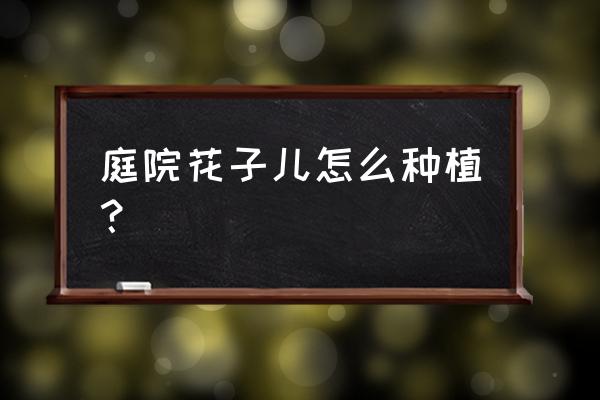 庭院里如何種薔薇花 庭院花子兒怎么種植？