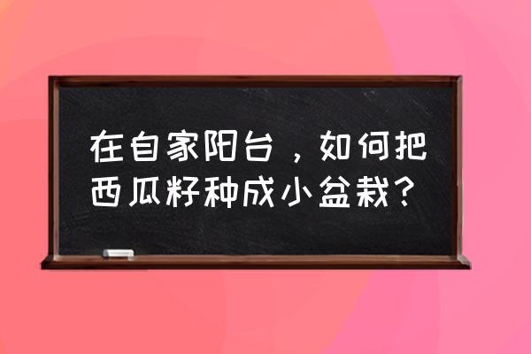 廢棄的玻璃杯制作花盆 在自家陽臺，如何把西瓜籽種成小盆栽？