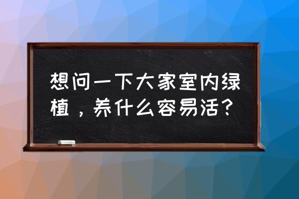 元寶樹施什么肥料最好 想問一下大家室內綠植，養什么容易活？