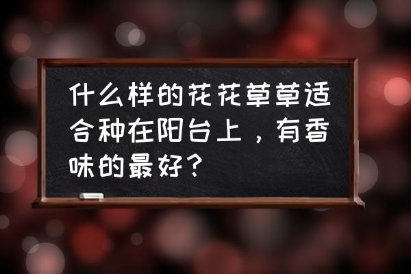 適合陽臺種的花卉大全圖 什么樣的花花草草適合種在陽臺上，有香味的最好？
