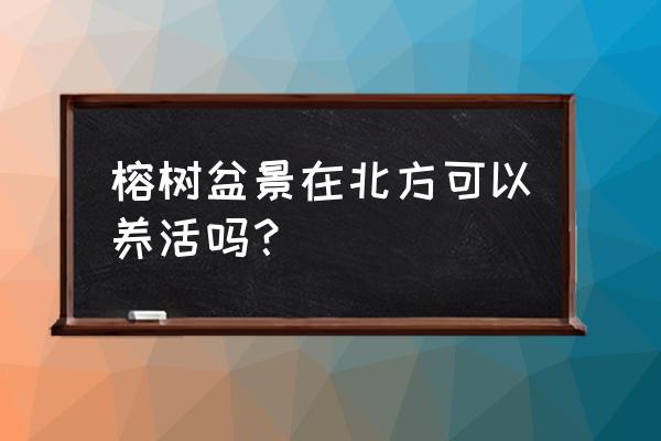 榕樹盆栽需要多少溫度養護 榕樹盆景在北方可以養活嗎？