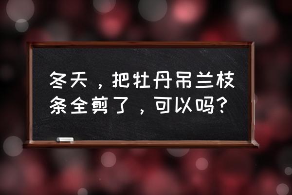 穿心蓮家庭如何扦插 冬天，把牡丹吊蘭枝條全剪了，可以嗎？