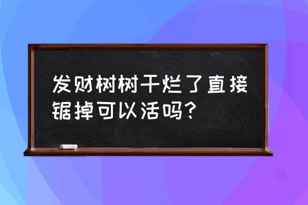 發(fā)財(cái)樹(shù)爛根的救治方法 發(fā)財(cái)樹(shù)樹(shù)干爛了直接鋸掉可以活嗎? 發(fā)財(cái)樹(shù)爛根的救治方法 發(fā)財(cái)樹(shù)樹(shù)干爛了直接鋸掉可以活嗎?