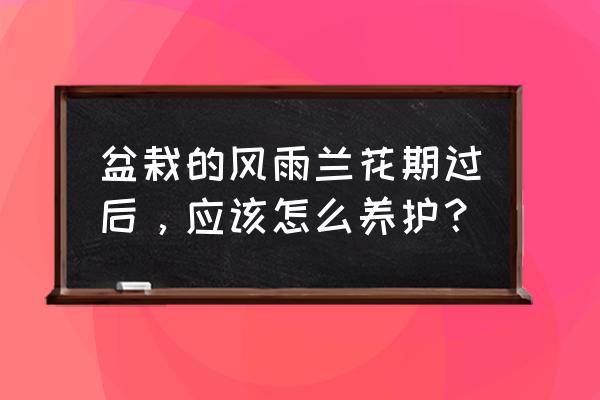 送的花拆開用什么水養 盆栽的風雨蘭花期過后，應該怎么養護？