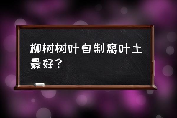 柳樹枝可以做什么兒童手工 柳樹樹葉自制腐葉土最好？