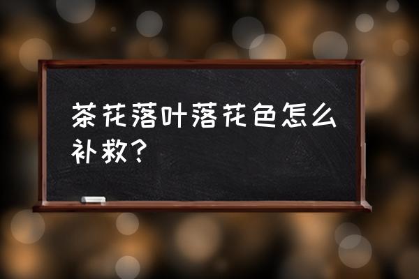 茶花死了還能救活嗎 茶花落葉落花色怎么補救？