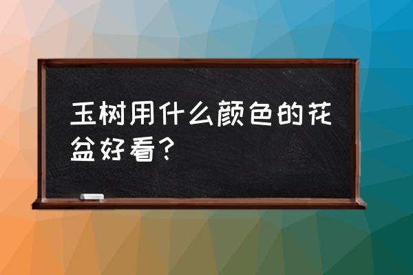 水泥花盆可以養多肉嗎 玉樹用什么顏色的花盆好看？