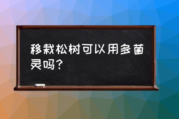 下山黑松種植最佳時(shí)間 移栽松樹可以用多菌靈嗎？